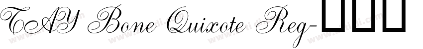 TAY Bone Quixote Reg字体转换